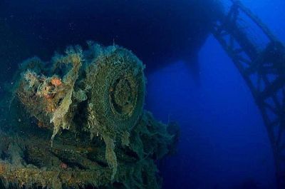 Freediving na Kypru: vraky, želvy, jeskyně, a Musan