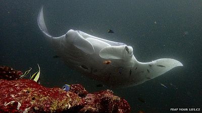 Freediving na Maltě: jeskyně, vraky a průplavy