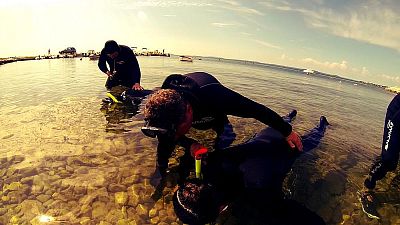 Freediving trénink v Chorvatsku: třítýdenní kurz