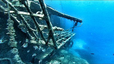 Freediving v Chorvatsku: kompletní tréninkový týden všech disciplín