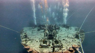 Freediving v Egyptě: Safari – delfíni, želvy, jeskyně, vraky