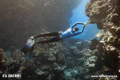 Freediving v Egyptě: Safari – delfíni, želvy, jeskyně, vraky