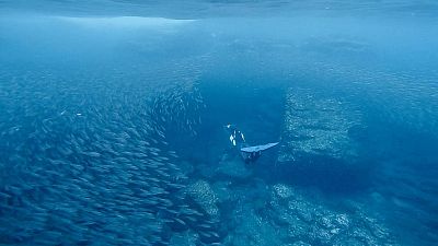 Freediving v Mexiku: cenotes a velryby