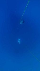 img-3239