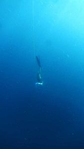 img-3265