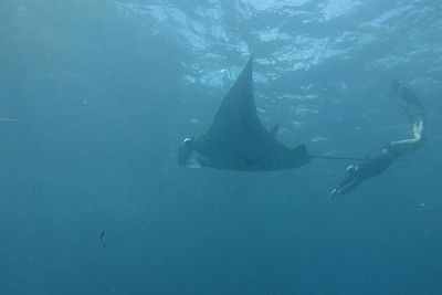 photo30