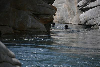 Švýcarsko, oblast Ticino – řeky Maggia a Verzasca