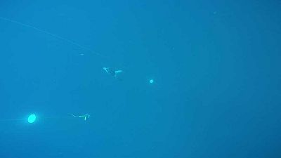 vlcsnap-2014-11-05-13h57m29s153