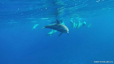 vlcsnap-2016-10-14-17h21m49s213