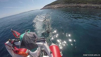 vlcsnap-2017-09-06-21h25m01s226