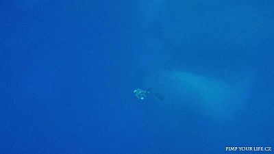 vlcsnap-2017-10-03-17h11m29s62